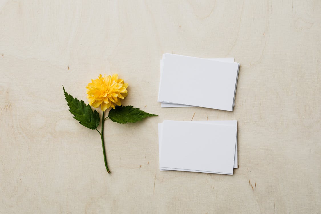Standard Business Cards – 100 Pack