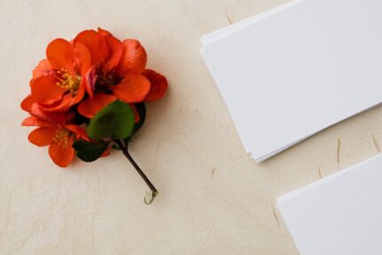 Standard Business Cards – 250 Pack