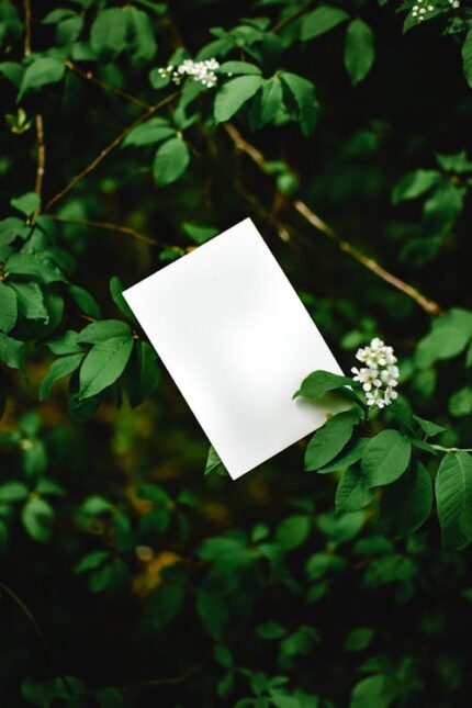 A4 Flyers – 250 Pack