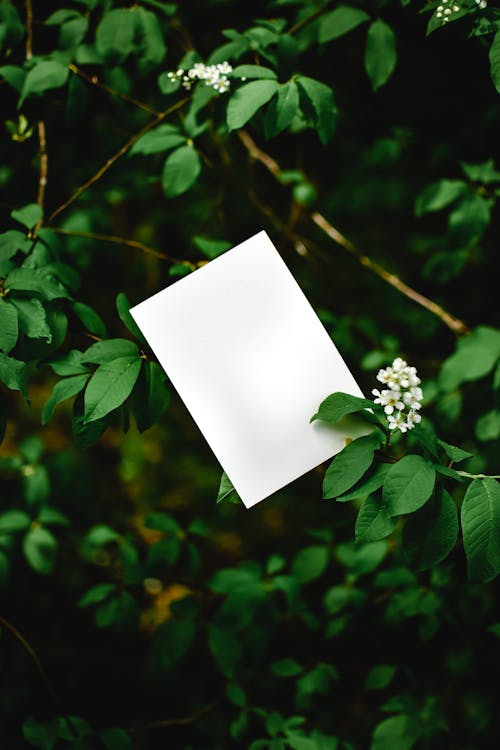 A4 Flyers – 250 Pack