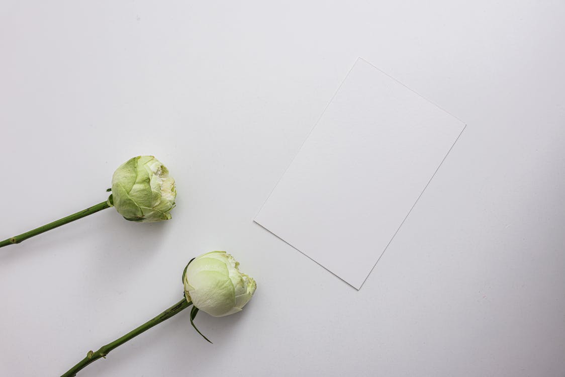 Luxury Business Cards – Premium Finishes