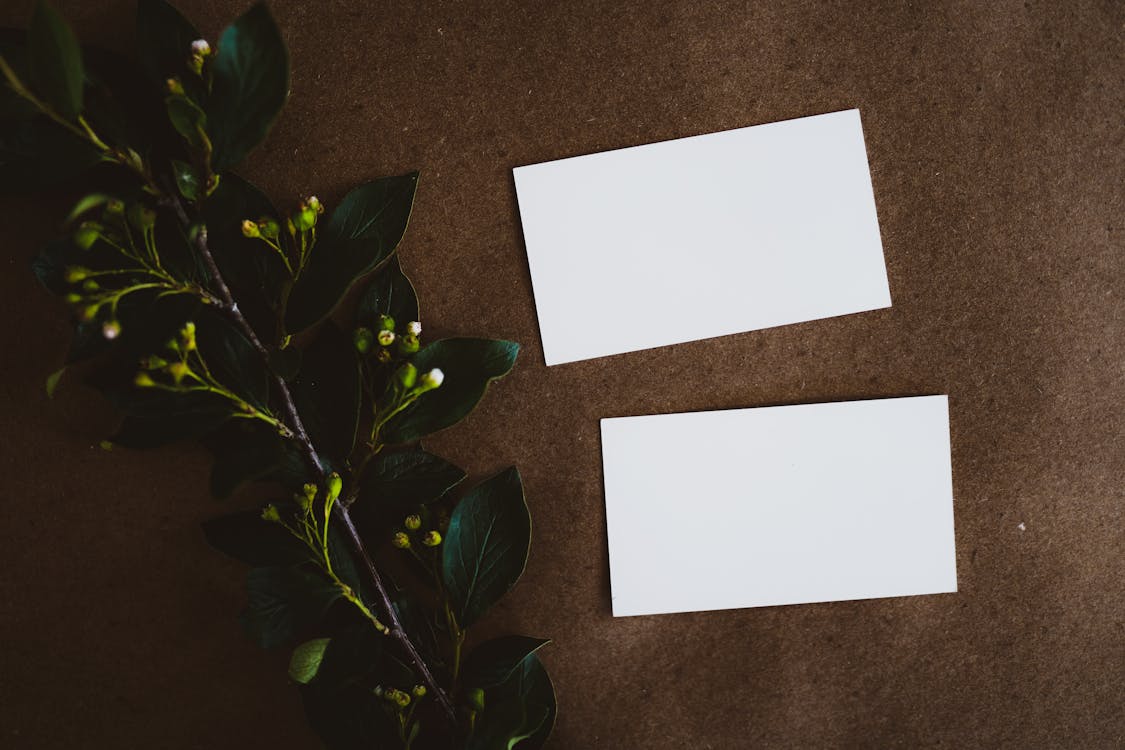 Standard Business Cards – 100 Pack - Image 3